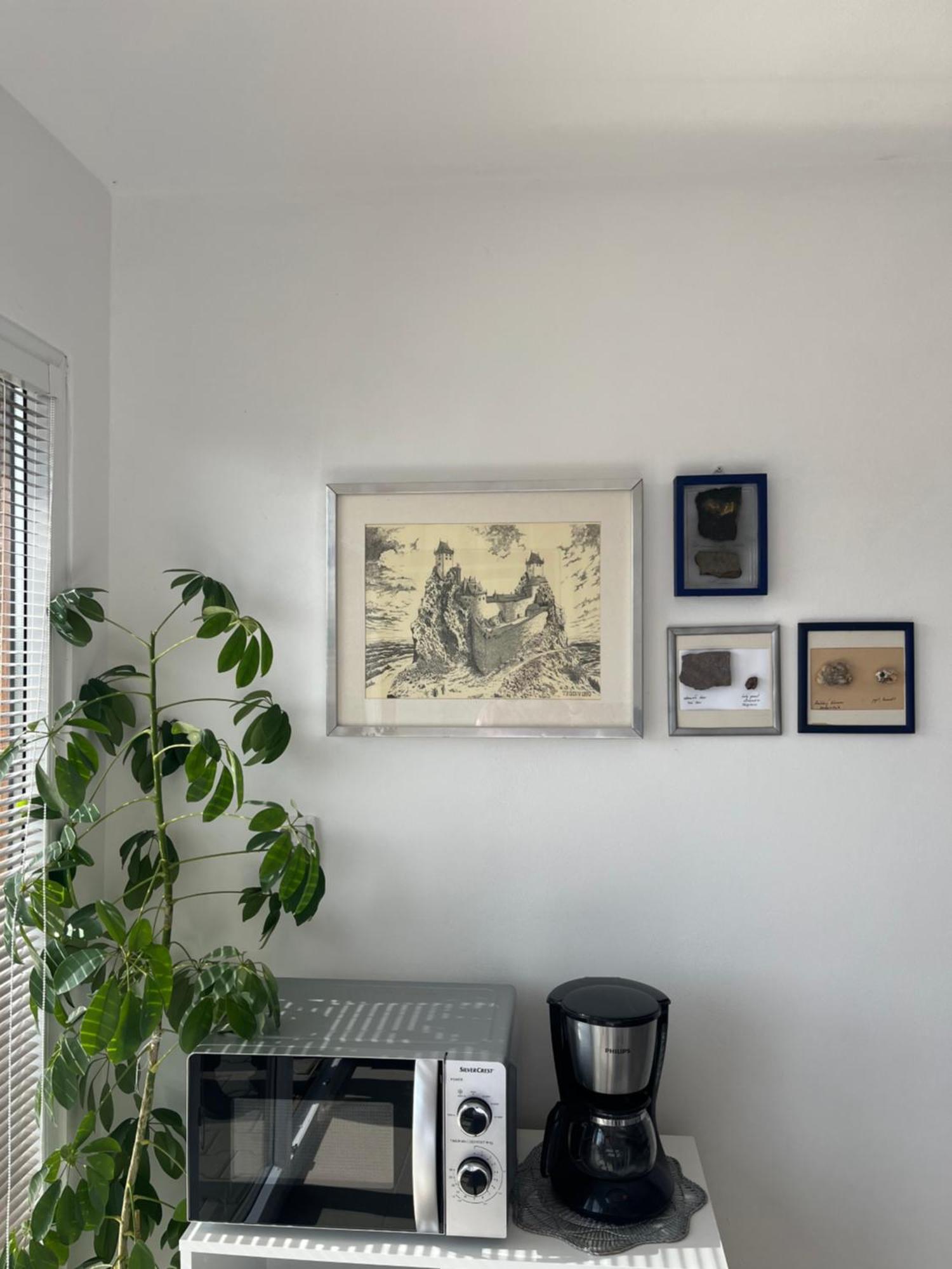 טורנוב Apartman Michaela מראה חיצוני תמונה